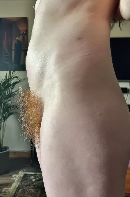 Does my ginger bush turn you on?