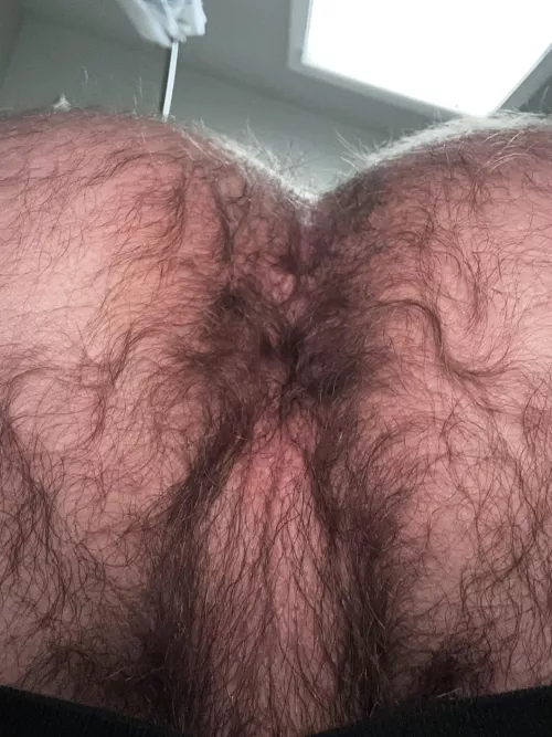 Hairy enough?