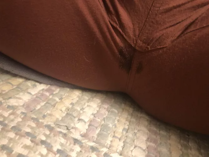 I had a pretty intense wet dream last night 😅