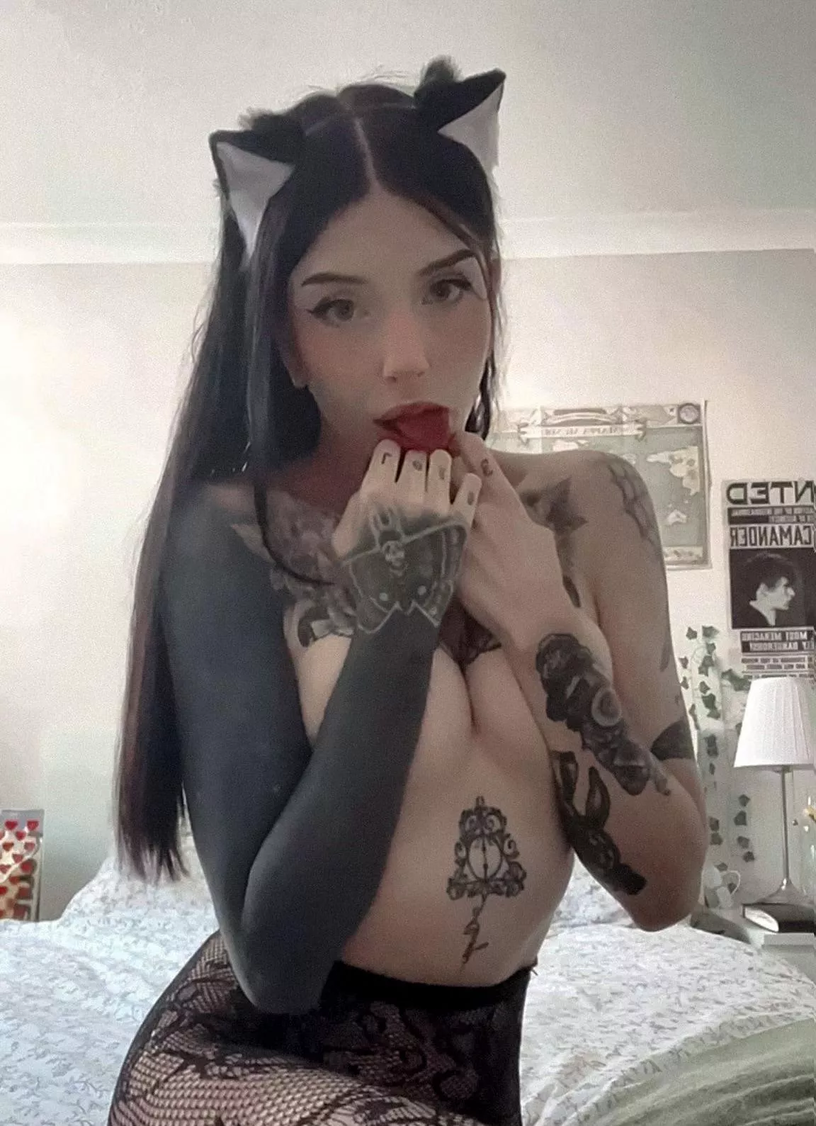 Meow! Say it back! 😠