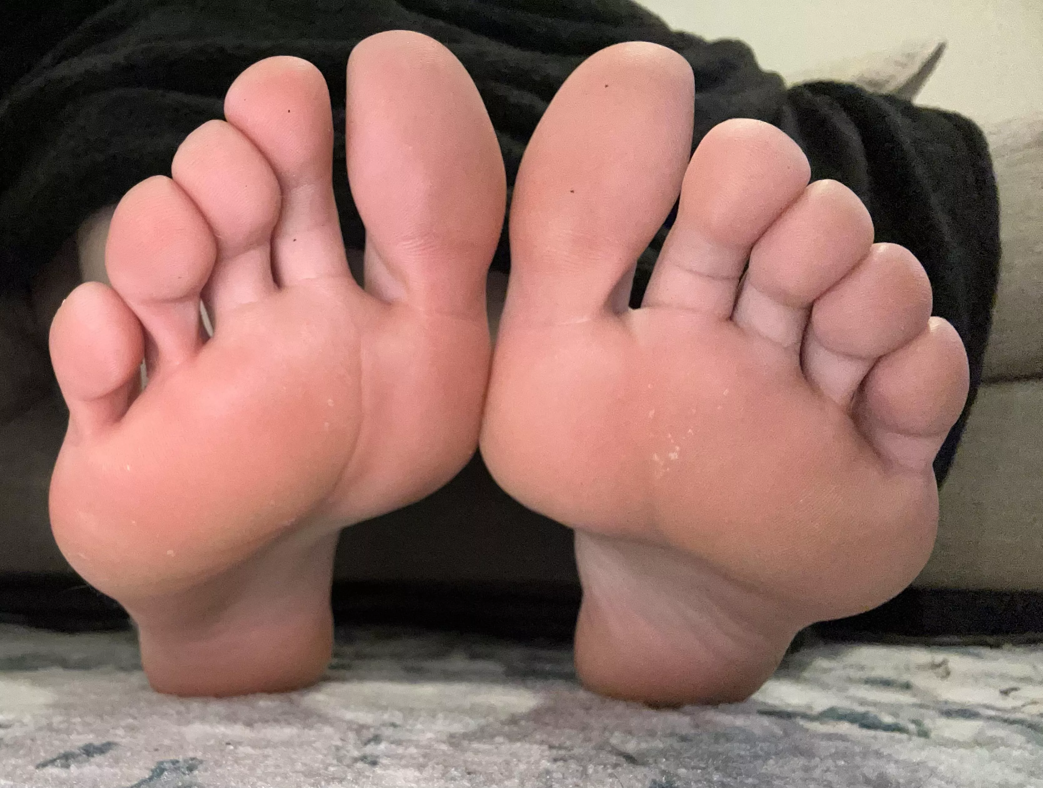 Ready to put them in your lap