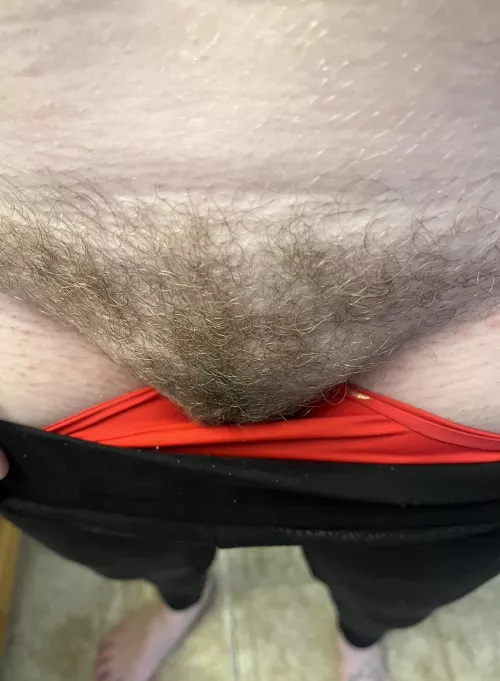 Saturday morning yoga bush