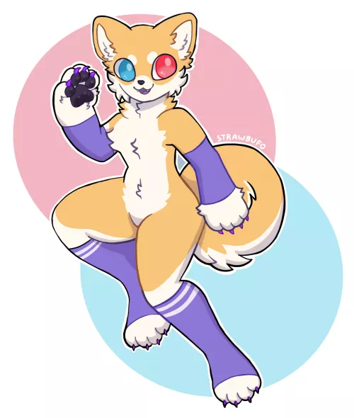 shiba ❤️💙 (art by me)