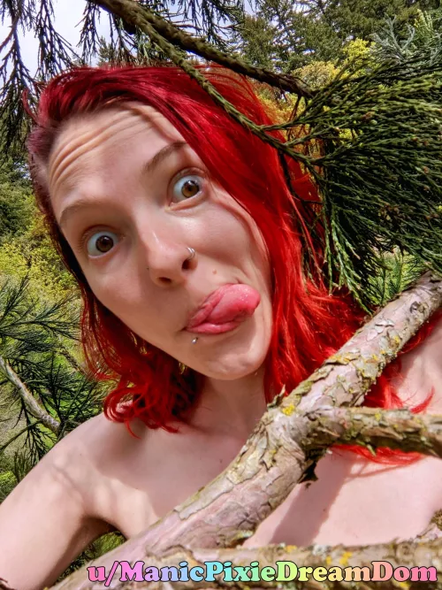 Slut in a tree 😆