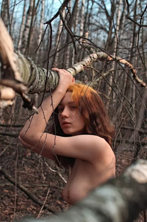 [TW] What would you say if you met me in the woods?