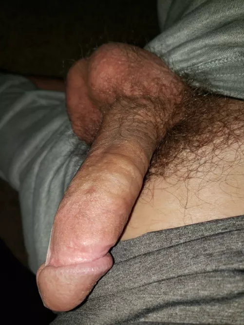 What do you all think of my bush?
