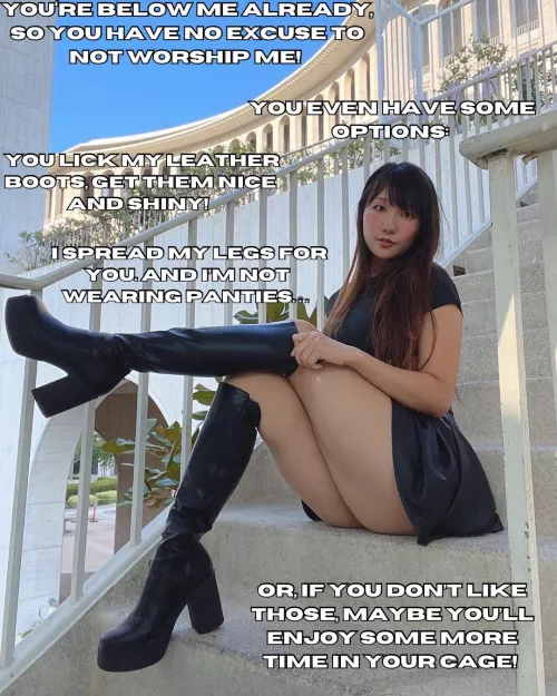 Why not just all of those?