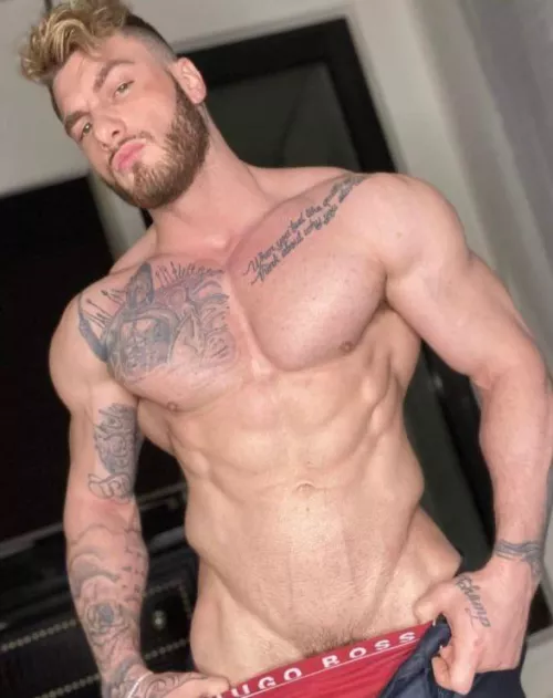 “William Seed” …