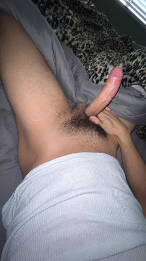 28 usa hung bi verbal jock @bigjaydawggg