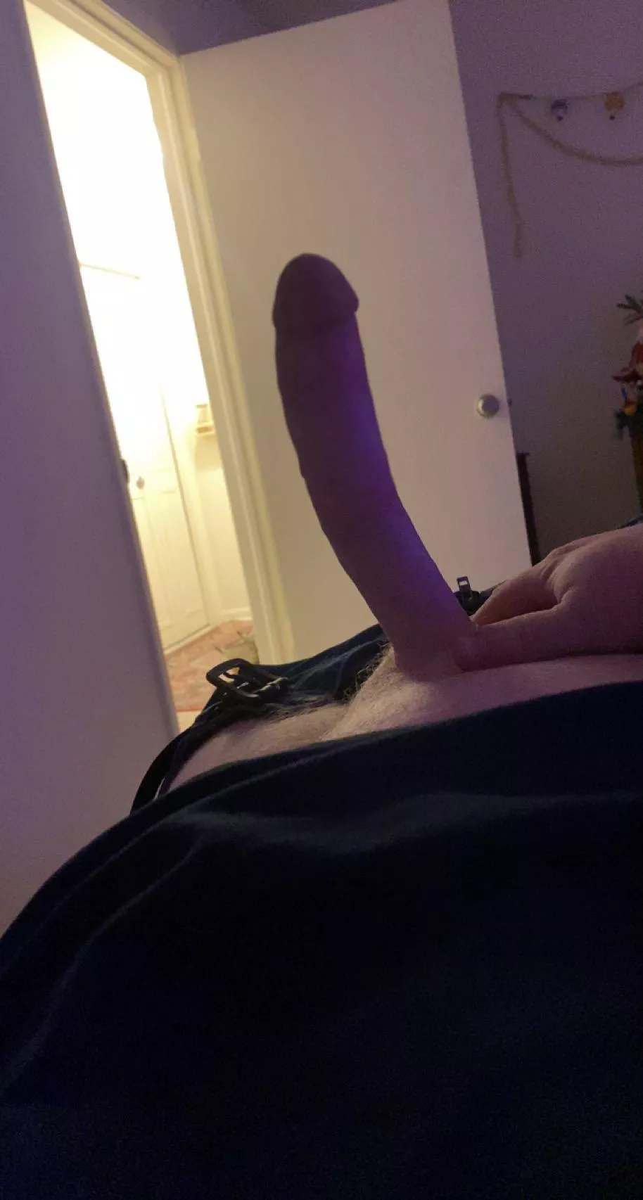 Bored af. Someone entertain me and my cock