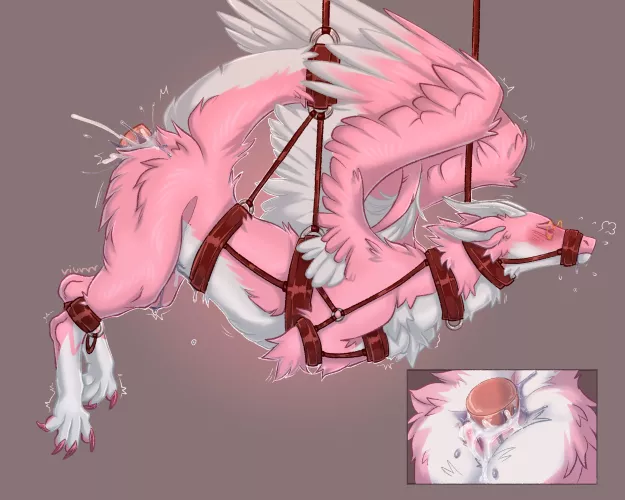 Can't answer dms right now [F] (Viurrr)