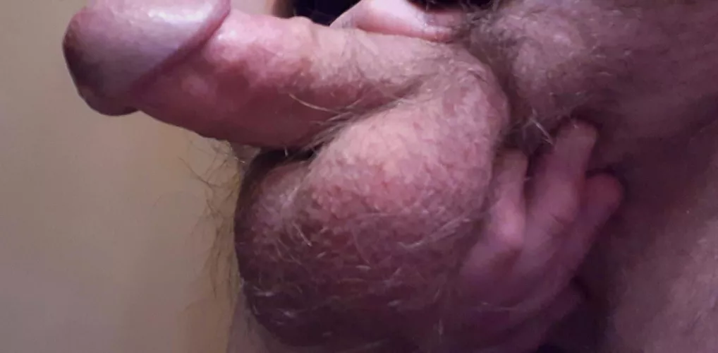 Could you fit these fat hairy balls in your mouth?