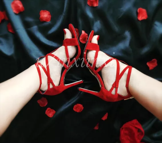 🌹Creativity Inspired by Heels🌹
