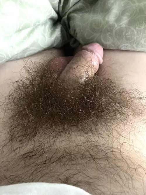 Huge bush + smooth balls
