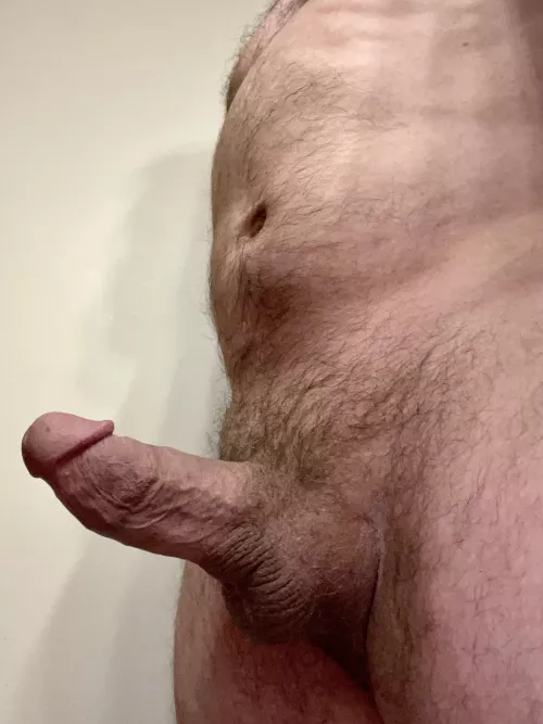 May I offer you something a little more filling for lunch?