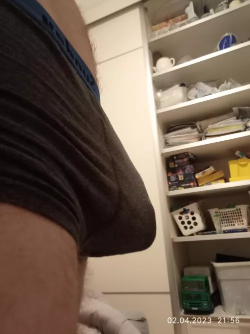 My bulge