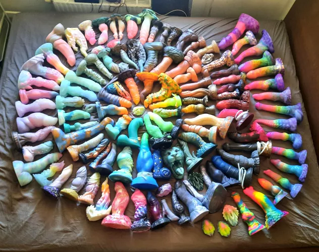 One year of collecting laid out in my first ever dong circle