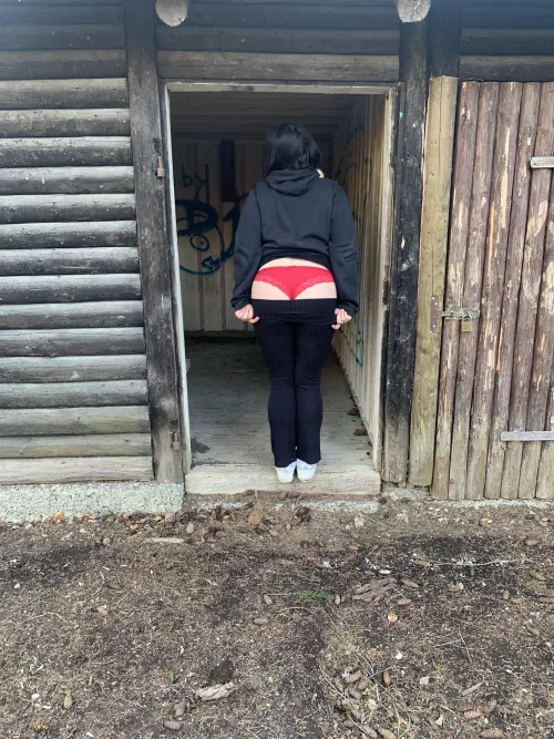 React if I can dm you free nude