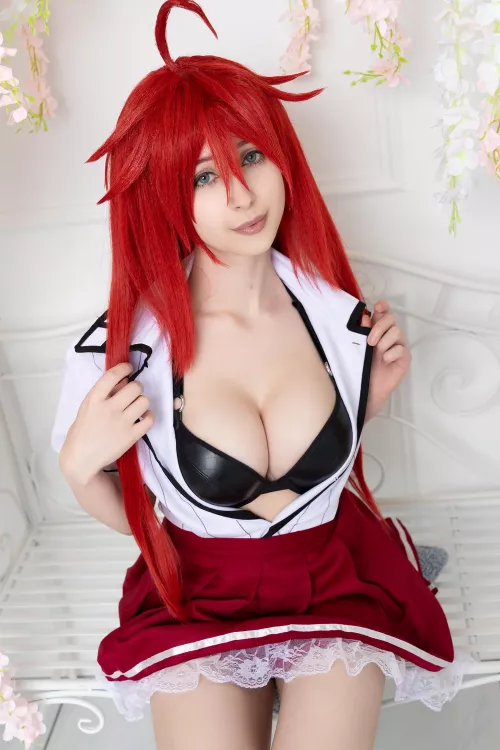 Rias from Highschool DxD by gumihohannya