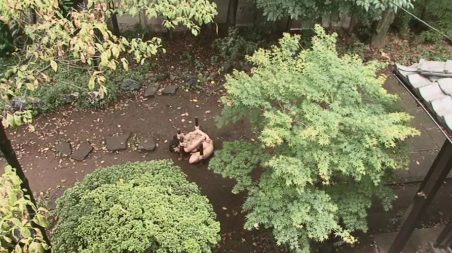 The perfect garden fully.