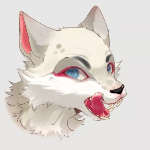 Training after a little hiatus, what do you think?