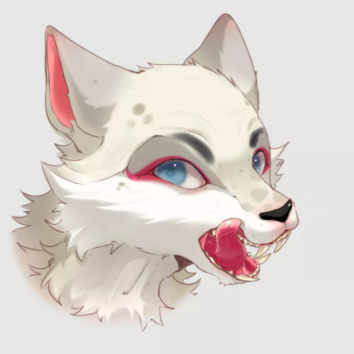 Training after a little hiatus, what do you think?