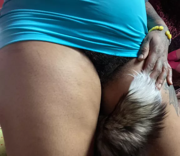 when i get shy i hide my tail