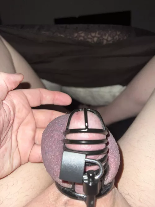 18 days and waking up hard or at least trying to get hard