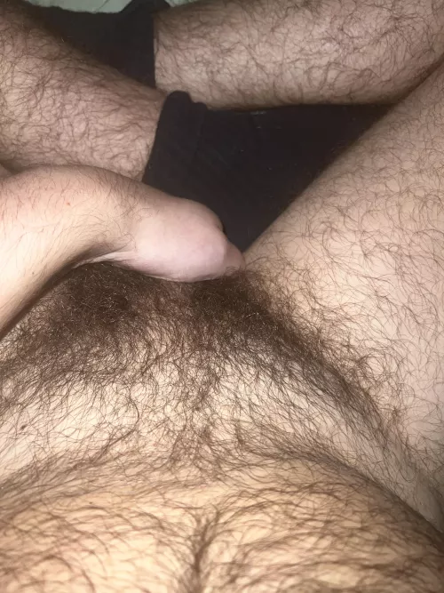 Anyone wanna compare how hairy and bush 32 m - DMS open