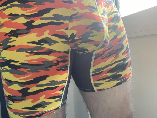 Can you see the vein… just let the dog out like this.