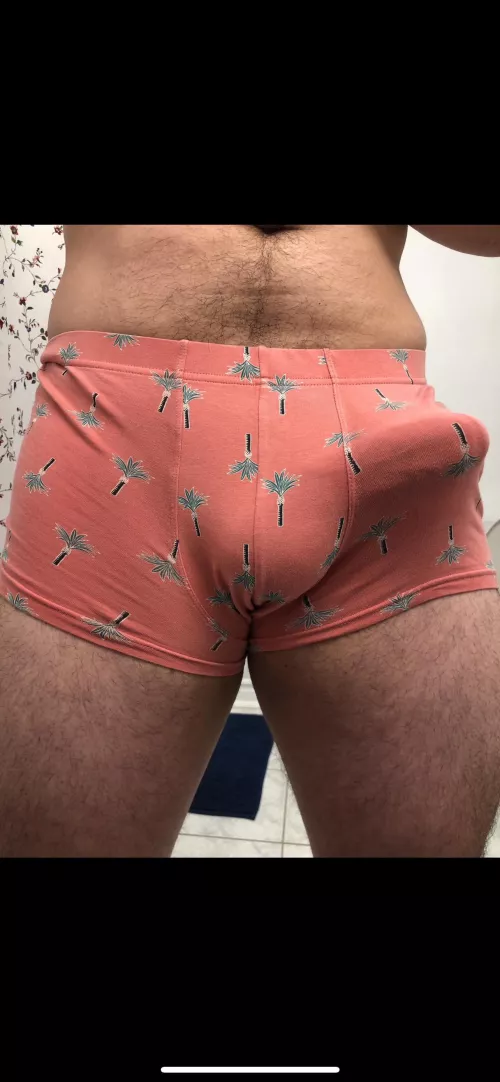 Do you like my palm tree?