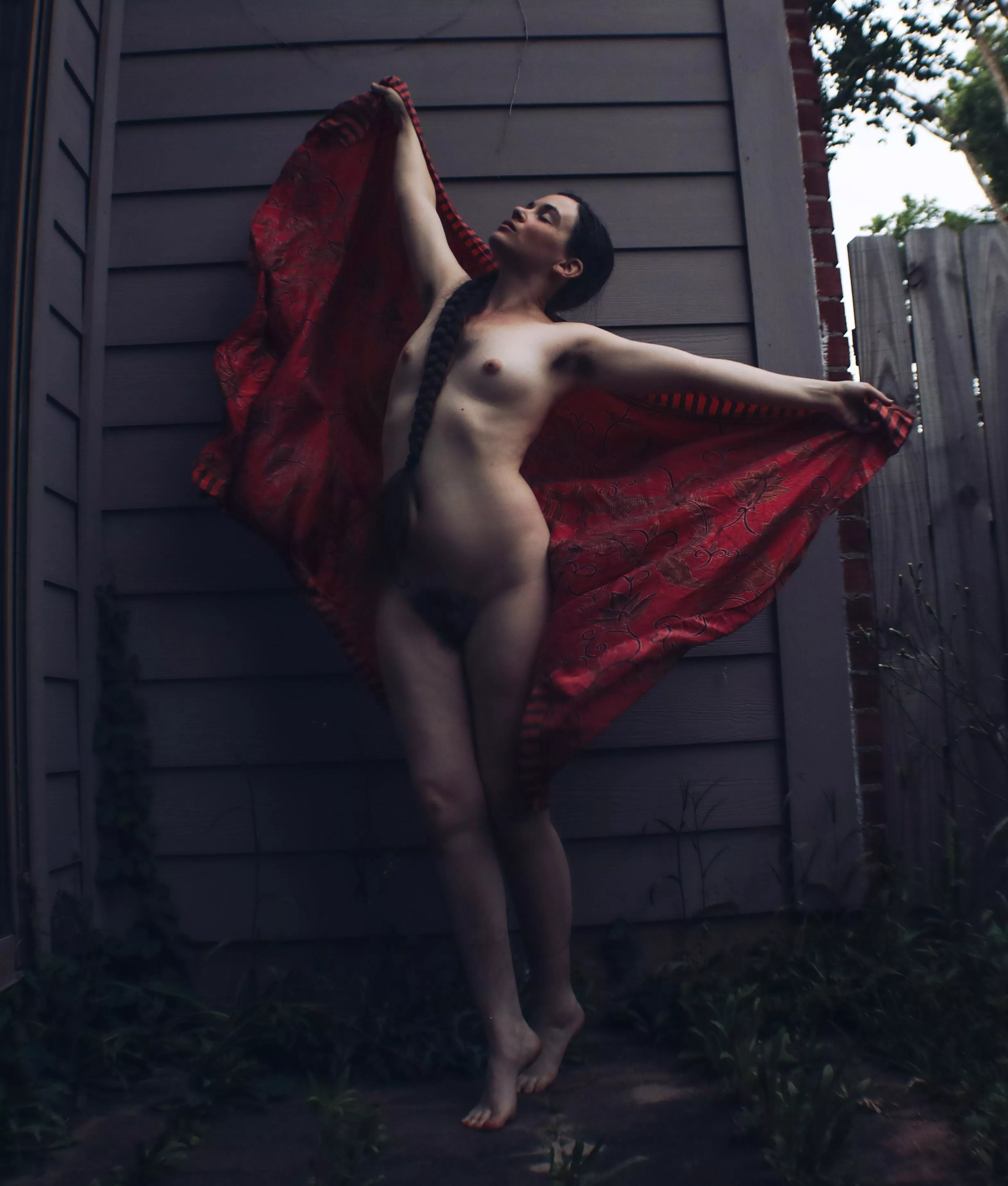 fly away, sweet bird of prey (self shot)