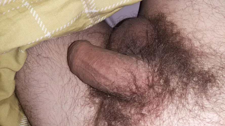 Hairy and soft