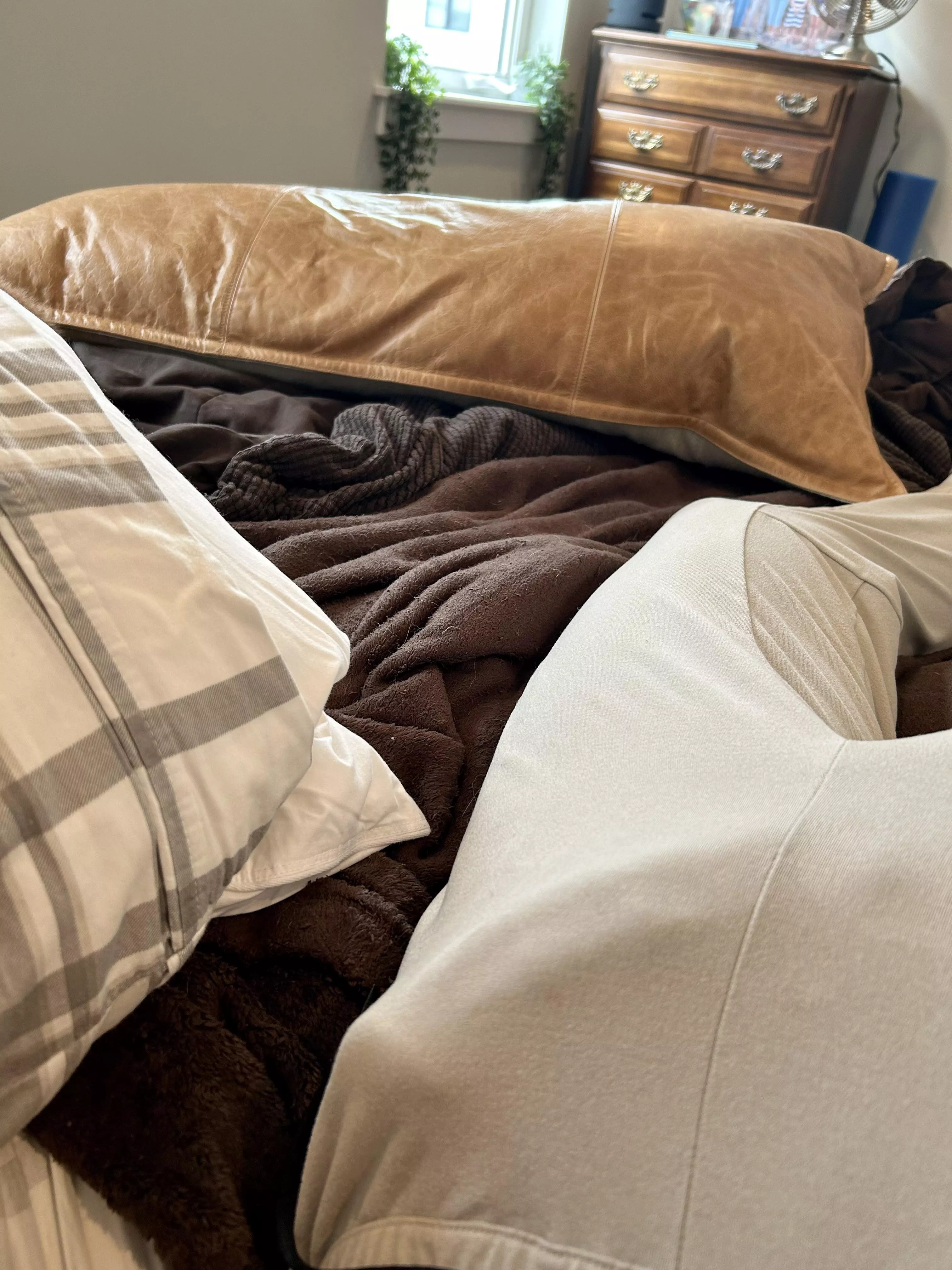 He needs some attention…