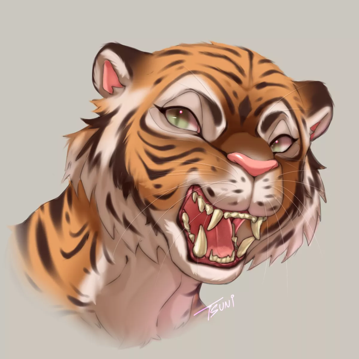 I finally learned how to draw Tigers! >:3