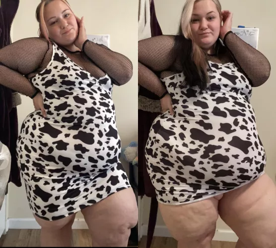 It still fits right?