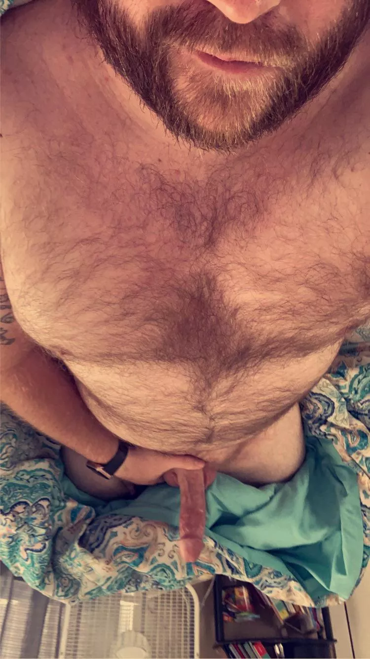 It’s not morning anymore, so maybe we’ll just call it napping wood?