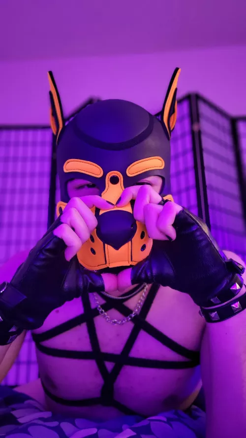 Love is stored in the snoot 🧡