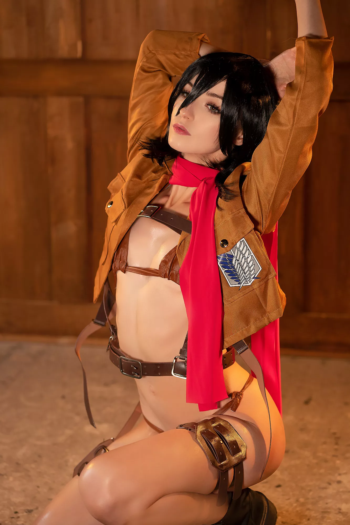Mikasa by Axilirator
