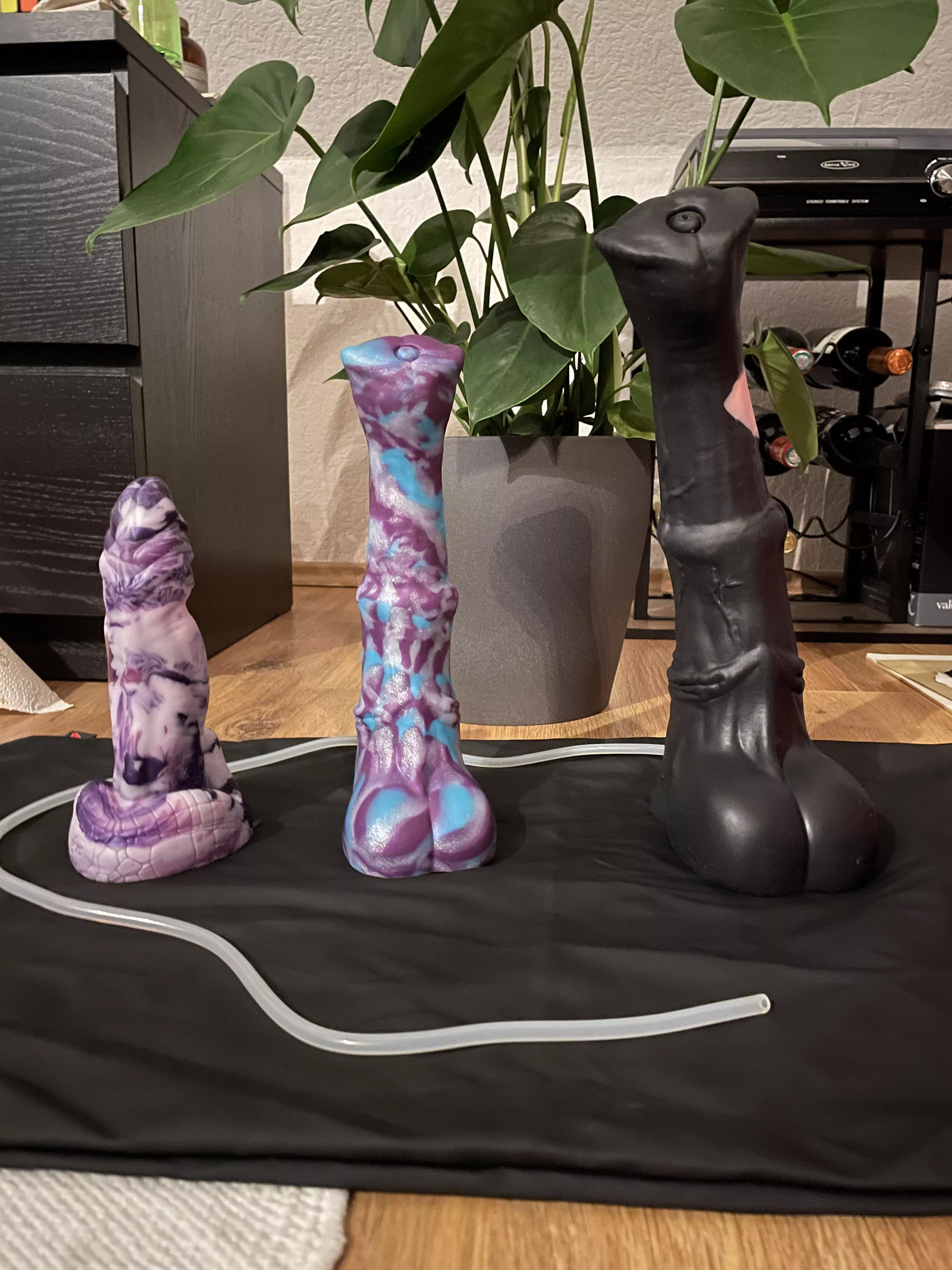 My small BD collection