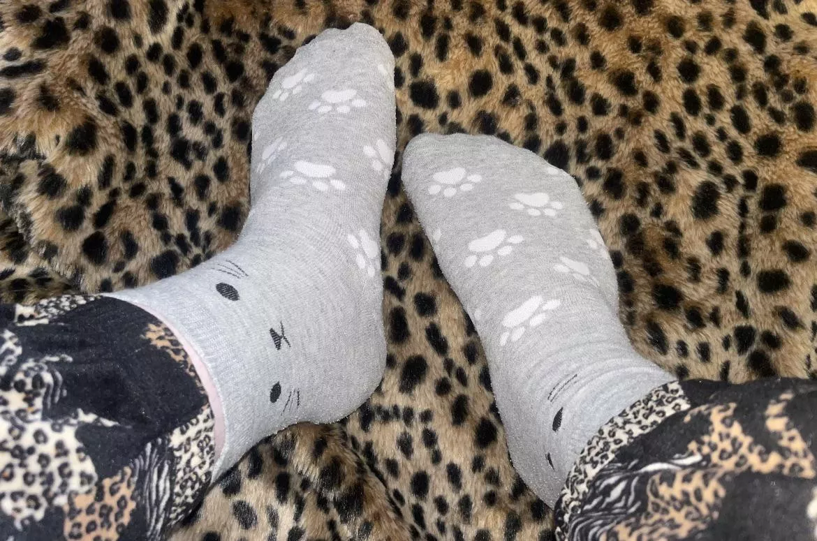 purrfect paws [SELLING]