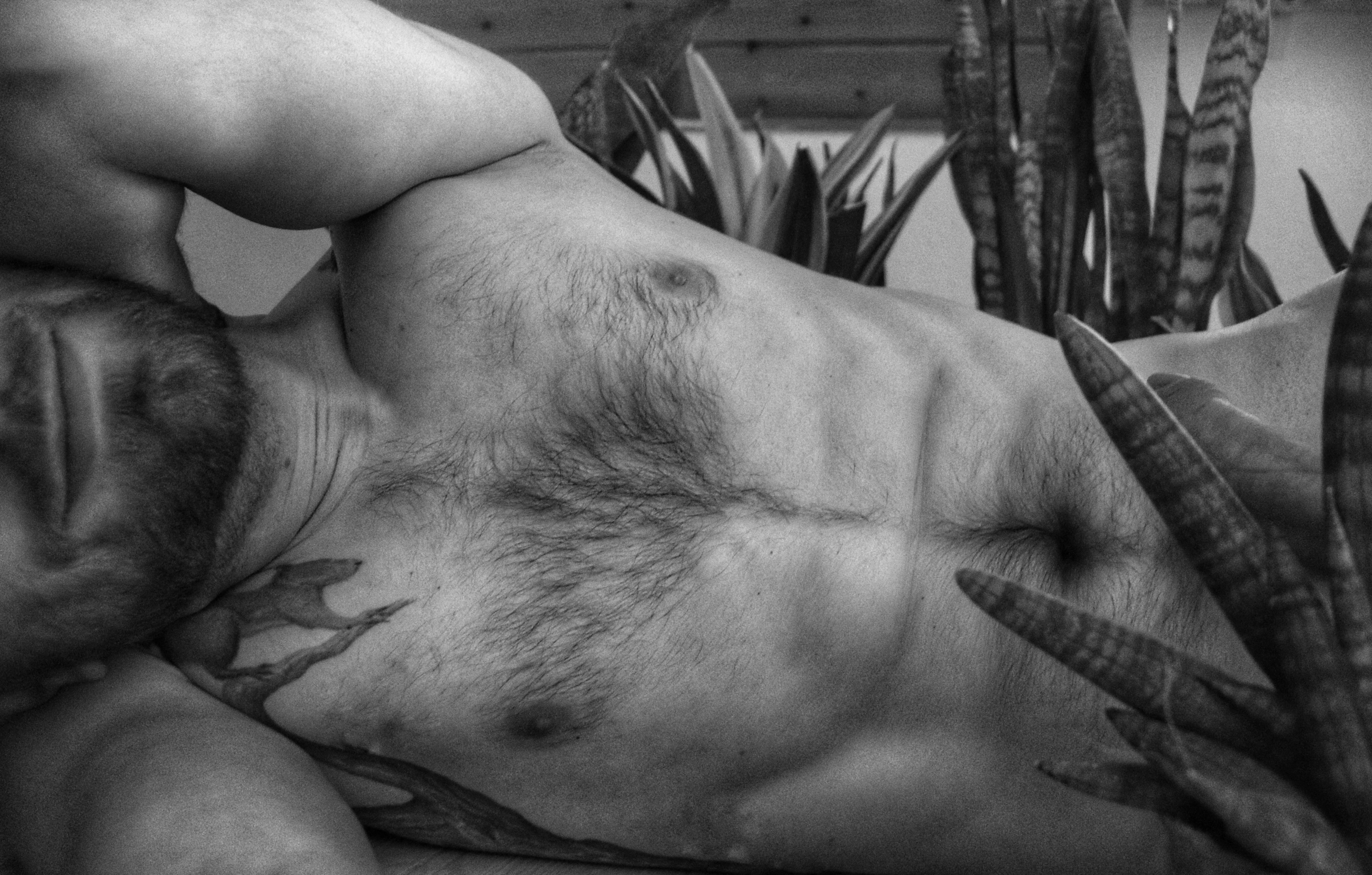 Sansevierias make me feel stress-free