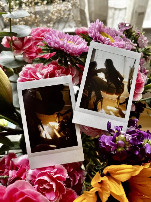 Snapshots from my last session