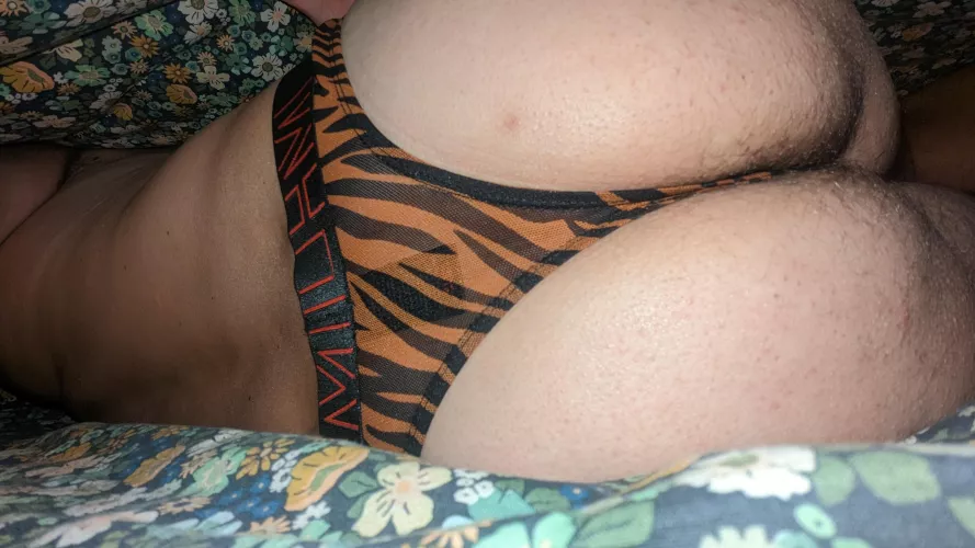 Sneak thing peak under the sheets.