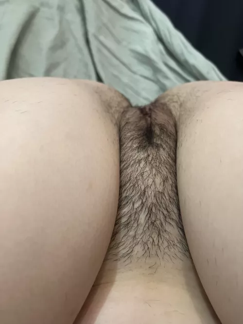 Teen and hairy pussy