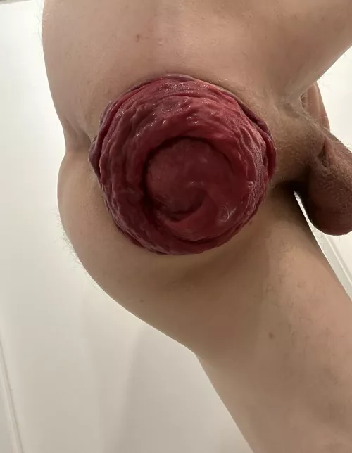 Todays altering = prolapsed hole