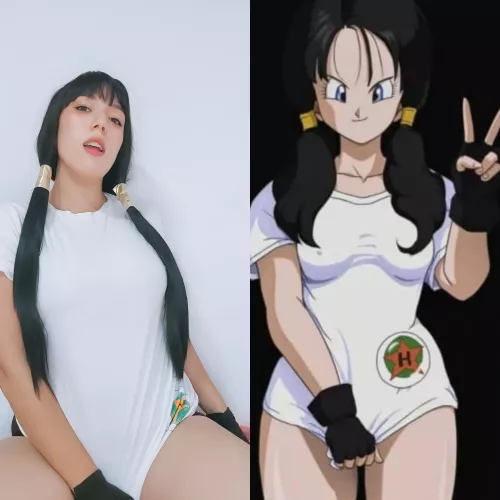 Videl from Dragon Ball Z by Sakurapprincess