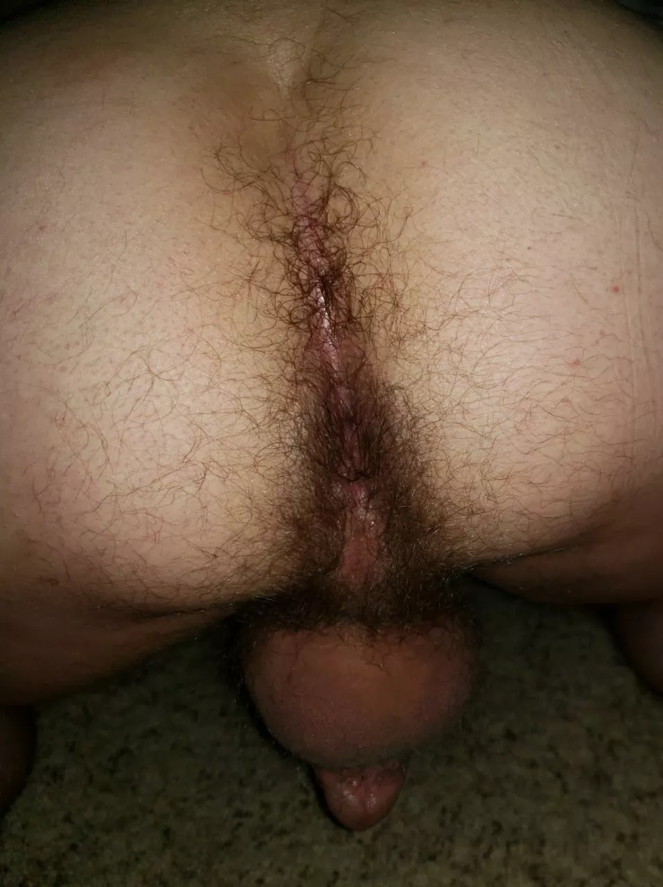 What do you think of my hairy butt?