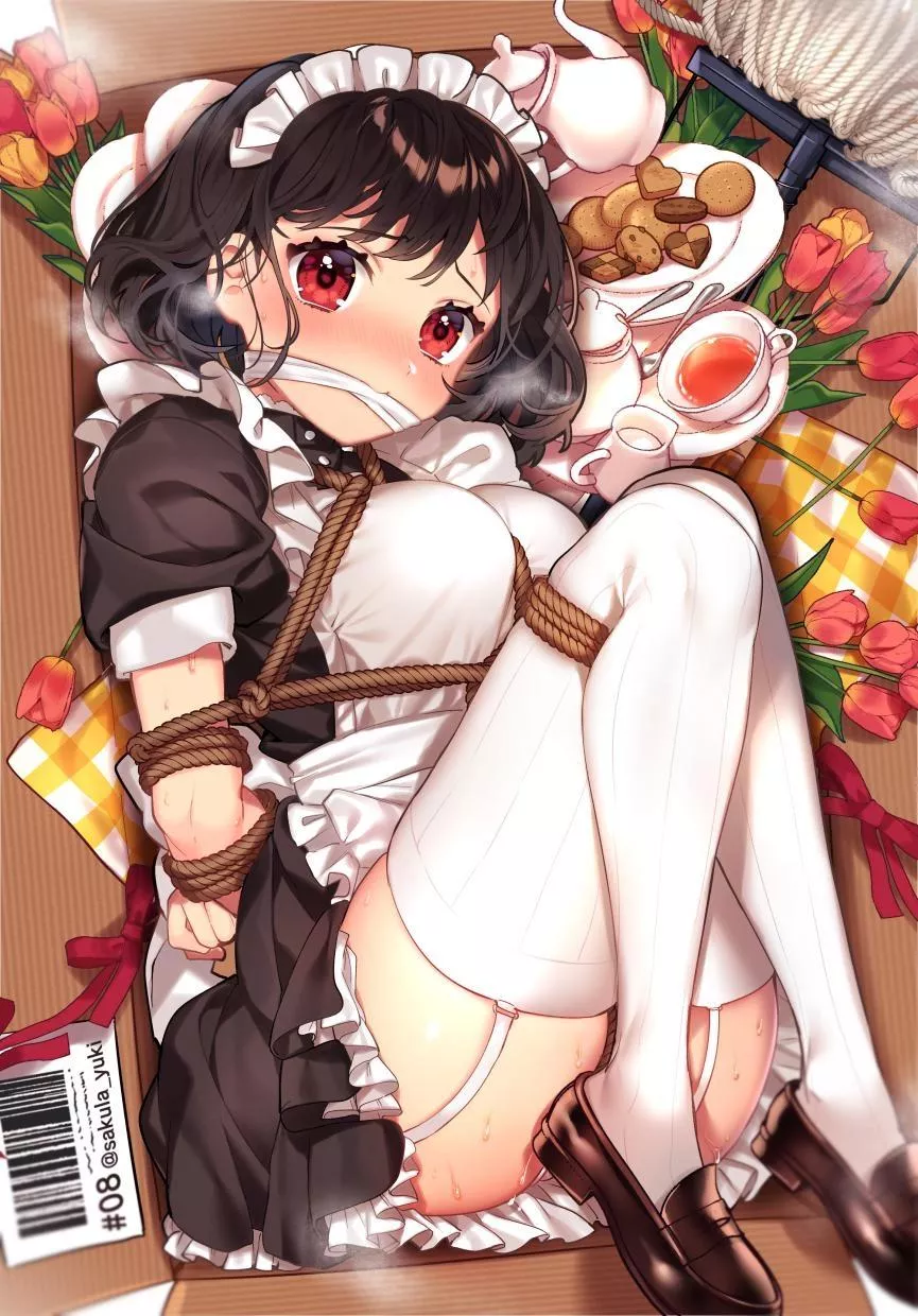 Your new maid has been delivered!