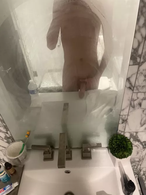 20m bull ready for fun